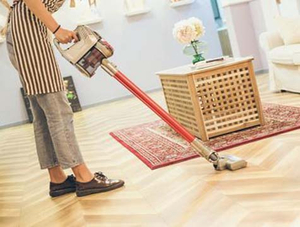 94-vacuum cleaner for hardwood floors.jpg
